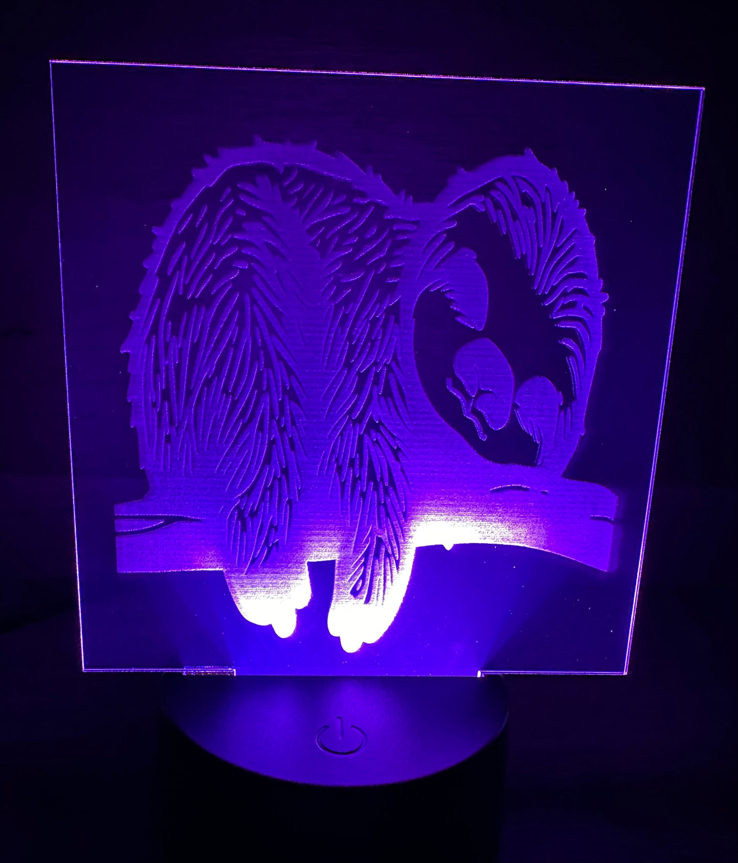 Engraved Acrylic with LED Light Base and Remote Control: Sleepy Sloth