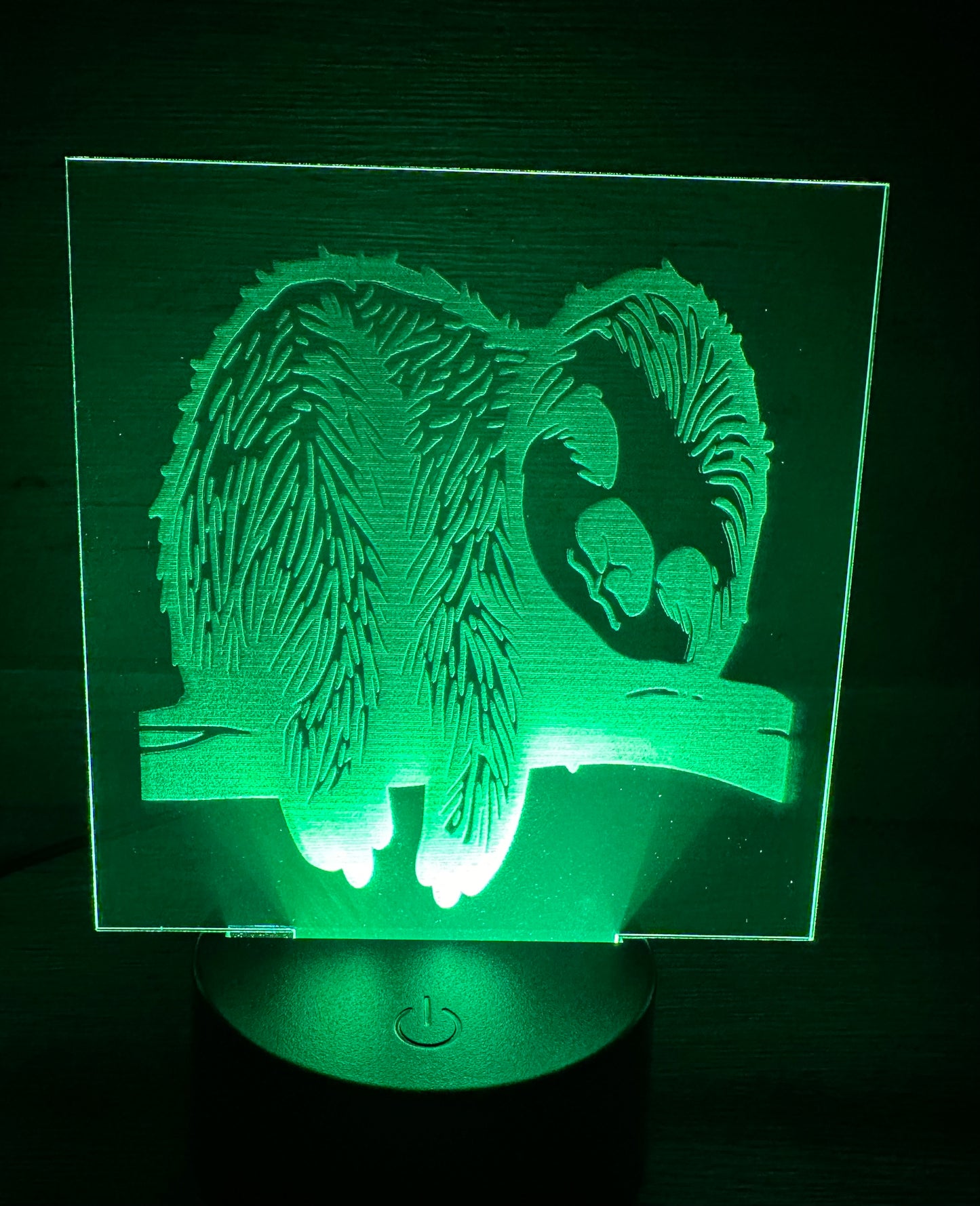 Engraved Acrylic with LED Light Base and Remote Control: Sleepy Sloth